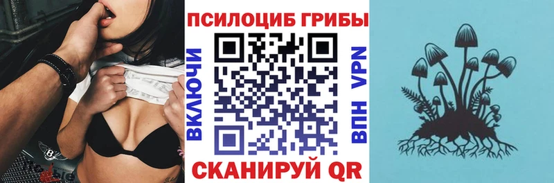 Купить закладки  Бутурлиновка  Галлюциногенные грибы MAGIC MUSHROOMS 
